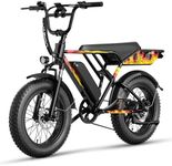 Jasion RetroVolt 1500W Electric Bik