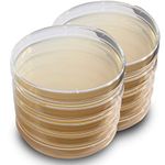 LB Agar Plates - Evviva Sciences - Sterile Prepoured Luria-Bertani Agar (LB) Petri Dishes - General Purpose Media - Top Science Kit for Science Fair Projects!