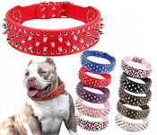 Studded Dog Collars