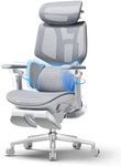 Hbada X7 Smart Ergonomic Chair, Office Chair, with Fully Automated Lumbar Tracking, 4D Adjustable Headrest, 720° Adjustable Armrests, Ventilated Seat Cushion, Swivel, Graphite Gray