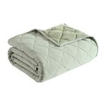 Eddie Bauer - Queen Blanket, Soft & Cozy Bedding, Quilted Home Decor (Classic Solid Green, Queen)