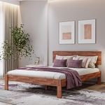 Wakefit Bed | 3 Year Warranty | Double Bed, Queen Size Bed, Indus Teak Wood Bed Without Storage, Solid Wood Bed (Honey Finish_Brown)