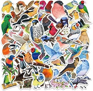 Colourful Bird Stickers for Laptop(50 Pcs),Gift for Teens Adults Girl,Waterproof Watercolor Bird Stickers for Water Bottle,Trendy Vinyl Stickers for Journal,Dairy,Scrapbook