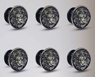 Plantex Lion Face Knobs for Drawer | Kitchen Cabinet Knobs | Pulls Handles Knobs for Wardrobe Kitchen | Round Drawer Pulls and Knobs- Pack of 6 Pieces (Brass-Antique)