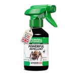 RepellShield Spider Repellent Spray -250ml- Peppermint Spider Repellent for House, Garage & Shed - Indoor & Outdoor Anti Spider Spray for Windows, Corners, Doors & Entry Points with Fresh Mint Scent