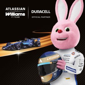 Duracell Plus AA Batteries 12-Pack – Long Lasting Power