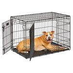 Dog Crate | MidWest Life Stages 36.5" Double Door Folding Metal Dog Crate | Divider Panel, Floor Protecting Feet, Leak-Proof Dog Pan | 36.5 L x 23.04 W x 24.93 H Inches, Intermediate Dog Breed