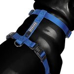 Heads Up For Tails Essentials Nylon Dog H-Harness - Blue - L: 29-47" Girth