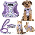 GAMUDA Small Dog Harness Collar and