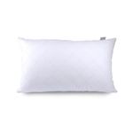 Recron Certified Polyester Dream Quilted Pillow 41Cm X 61Cm (16X24 Inches), White