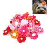 30PCS Colorful Pet Dog Hair Bows Stylish Daisy Shape Puppy Polyester Fabric Hair Clip with Rubber Bands with Pearl Decor for Puppy Small Cats Grooming Accessories