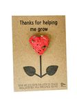 Thanks for helping me grow - Wildflower seed bomb heart shaped - Teacher Gift - DD2375 (Random Colour) (Random)