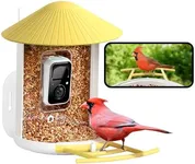 NETVUE by Birdfy Smart Bird Feeder Camera, Bird Watching Camera Auto Capture Birds & Motion Detection, Outdoor 1080P Bird Feeder Camera, Present for Bird Lover (Yellow)