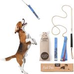 Chasing Tails Flirt Pole for Small or Medium Dogs - 26 Inch with 70 Inch Rope and Two Toys for All Breeds - Spring Pole for Dogs, Dog Flirt Pole for Large Dogs, Dog Catcher Pole