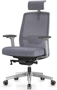 Duwinson Ergonomic Mesh Home Office Chair With Back Support, 4-Way Adjustment Armrest, Executive Desk Chair with Reclining Adjustment, Adjustable Headrest, Padded Lumbar Support, Swivel Slidable Seat