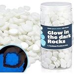 Graham Products Glow in The Dark Ro