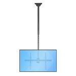 StarTech.com TV Ceiling Mount, Hanging Single Screen Vesa Mount for 32”-75" TVs/Displays - Height Adjustable Telescopic Pole