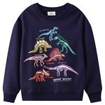 Boys Dinosaur Sweatshirt Jumper Kids Crewneck Long Sleeved Tops 100% Cotton T-Shirts Toddler Clothes for Age 5-6 Years
