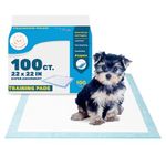 Fluffy Ventures Pet Dog and Puppy Pee Training Pads, Disposible Potty Pads, Regular 22" x 22" - 100 Count