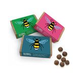 SEEDBALL Wildflower Seeds for Bees (Pack of 3) 6 Seed Balls Per Box | Eco Friendly British Wild Flower Seed Bombs, A Different Seed Mix in Each Box for Bees, Birds & Garden Wildlife - Gardening Gifts