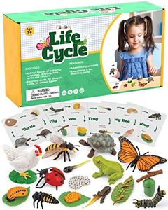 Life Cycle Kit Toy Montessori - Realistic Figurine Toys, Kids Animal Match Set with Frog, Ladybug, & More - Includes 24-Piece Animals, Stocking Stuffers Educational & Fun Learning Game for Children 3+