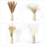 Pampas Grass 100 pcs | 17" Natural Dried Grasses | White Brown Reed and Bunny Tails | Artificial Flower Arrangements | Fluffy Boho Wedding Home Decor | M&W