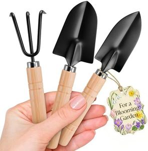 Hand Shovel for Gardening Trowel Garden Tool - 3Pcs Gardening Set of Tools Small Garden Rake Ergonomic Garden Hand Tools Wood Handle Gardening Tool 3 Piece - Gardening Tools Heavy Duty Garden Tool Set