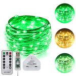 ErChen USB Dual-Color Led String Lights, 33FT 100 Leds Color Changing Dimmable 8 Modes Silver Copper Wire Fairy Lights with Remote Timer for Indoor Outdoor Christmas (Warm White, Green)