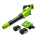 Greenworks 2 x 24V (48V) Brushless Axial Leaf Blower (140 MPH / 585 CFM), (2) 4Ah USB Batteries and Dual Port Charger Included, BL48L4410, Green