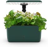 AeroGarden Harvest Lite in Green, S
