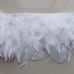 Sowder Turkey Feathers Trim Fringe for Party Wedding Dress Sewing Crafts Costumes Decoration Pack of 2 Yards(White)