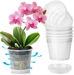 T4U Orchid