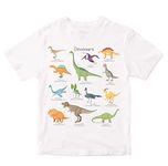 Heybroh Boys' T-Shirt Different Types of Dinosaurs with Names 100% Cotton Boy's Girl's Regular Fit Unisex T-Shirt (White; 13-14 Years)