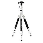 Benro MeFOTO Roadtrip PRO Travel Tripod, Ballhead and Monopod in Silver, 1 Series Aluminum Legs, 4 Leg Sections, Twist Leg Locks, Carrying Case (BMRTPROASLV)