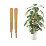 TrustBasket 2 Feet Coir Moss Stick/Coco Pole for Climbing Indoor & Outdoor Plants (Set of 2)| Green Grass Pole for HOUSING Plants, Creeper Support|Moss Stick