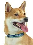 Zubaz NFL Team Adjustable Pet Collar for Dogs & Cats, Seattle Seahawks, Large