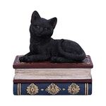 Nemesis Now Salems Spells Witches Familiar Black Cat and Spellbook Box, 11.7cm