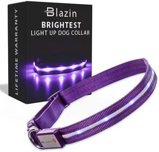 Blazin Brightest Light Up Dog Collars - The Original LED Dog Collar with 1,000 Feet of Visibility - USB Rechargeable Waterproof Dog Collar Light - Dog Lights for Night Walking - USA Brand