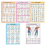 SPORTAXIS Paper 5 Pack Laminated Workout Posters For Home Without Equipment Color Illustrations Bodyweight Basic Building Exercises Yoga Abs Training For Men And Women 18X27 Inches