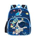 Frantic Waterproof Polyester 26 L School Backpack With Pencil/Staionery Pouch School Bag Class 1 to 8 Daypack Picnic Bag For School Going Boys & Girls(BK_Blue_Space_Fish_24_A)