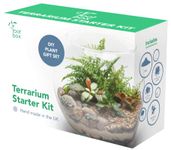 [CLEARANCE] Root Box™ Large Plant Terrarium Kit in scented giftbox | For Succulents, Bonsai, Fittonia, Cactus | Unique DIY GIFT for Summer Anniversaries Birthdays Employees