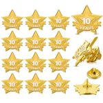 Tigeen 12 Pcs Year Service Reward Pins Star Enamel Pins Pins Year of Service Award Lapel Pin for Long Standing Employees Volunteers Couples Anniversary (10 Years)