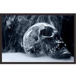 Mad Masters Skull Framed Photo, Wall Hanging Home Decor Painting for Living Room & Bedroom Decoration (18 x 12 Inch,Paper)