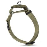 Solid Color Heavy Duty Nylon Anti - Escape Martingale Dog Collar for Boy and Girl Dogs - Walking Training Daily Use. (Large, Military Green)