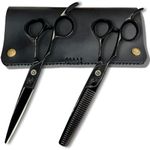 Hair Shears Set for Left-Handed Professionals, 440C Steel Blades, Black Titanium Coating, Includes Scissors, Shears, Razor, Carrying Case