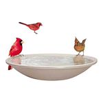 Allied Precision API 650 Heated Bird Bath with Mounting Bracket