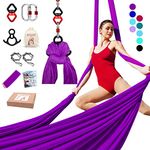 IONTACH Aerial Silks Yoga Swing Set Equipment - 9 Yards Aerial Yoga Hammock kit, Low-Stretch Fabrics for Beginner Dance, Full Accessories (Purple)
