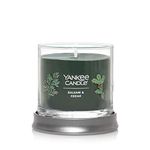 Yankee Candle Balsam & Cedar Scented, Signature 4.3oz Small Tumbler Single Wick Candle, Over 20 Hours of Burn Time, Christmas | Holiday Candle