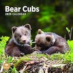 2025 Bear Cubs Monthly Wall Calendar by Bright Day, 12 x 12 Inch Cute Nature Photography Gift