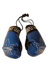 Toronto New NHL Hockey Logo Mini Boxing Gloves .. New